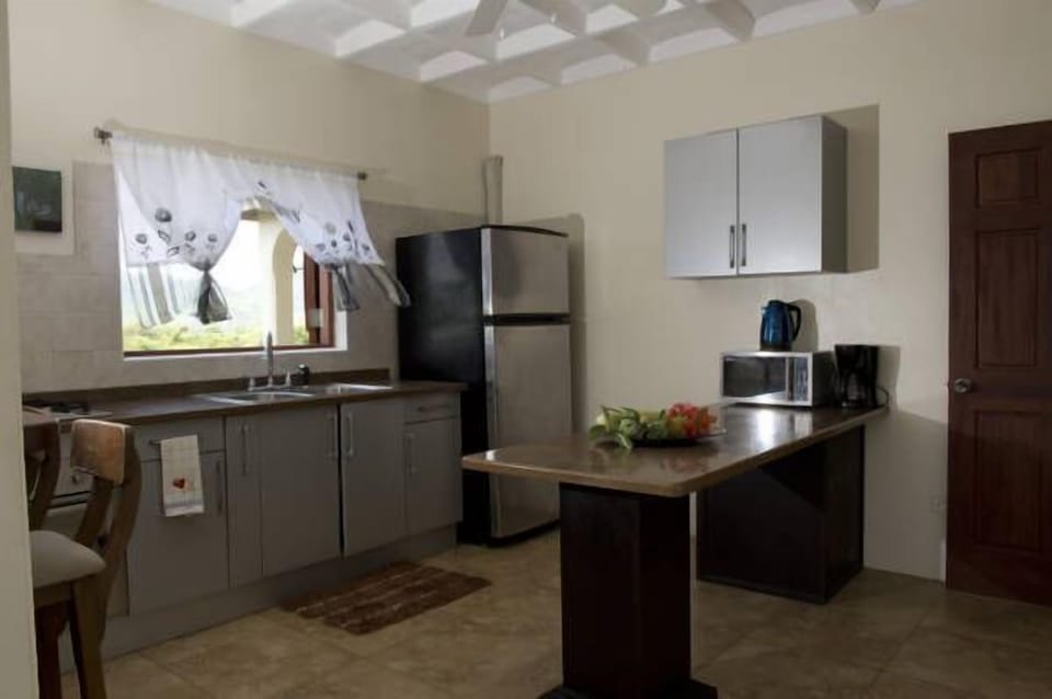 Apartment, 1 Bedroom, Balcony, Ocean View | Private kitchen | Coffee/tea maker, fridge, microwave, oven