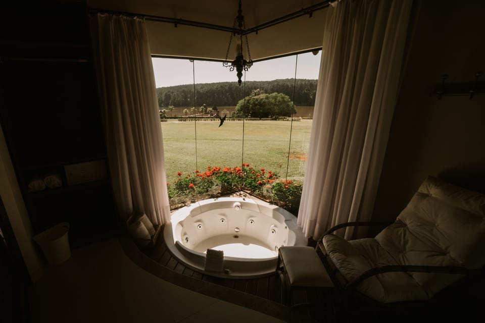 Suite | View from room