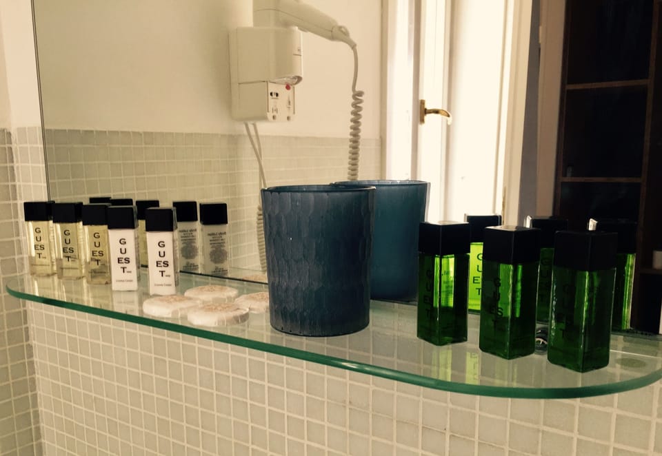 Deluxe Suite (Queen) | Bathroom amenities | Shower, free toiletries, hair dryer, bidet