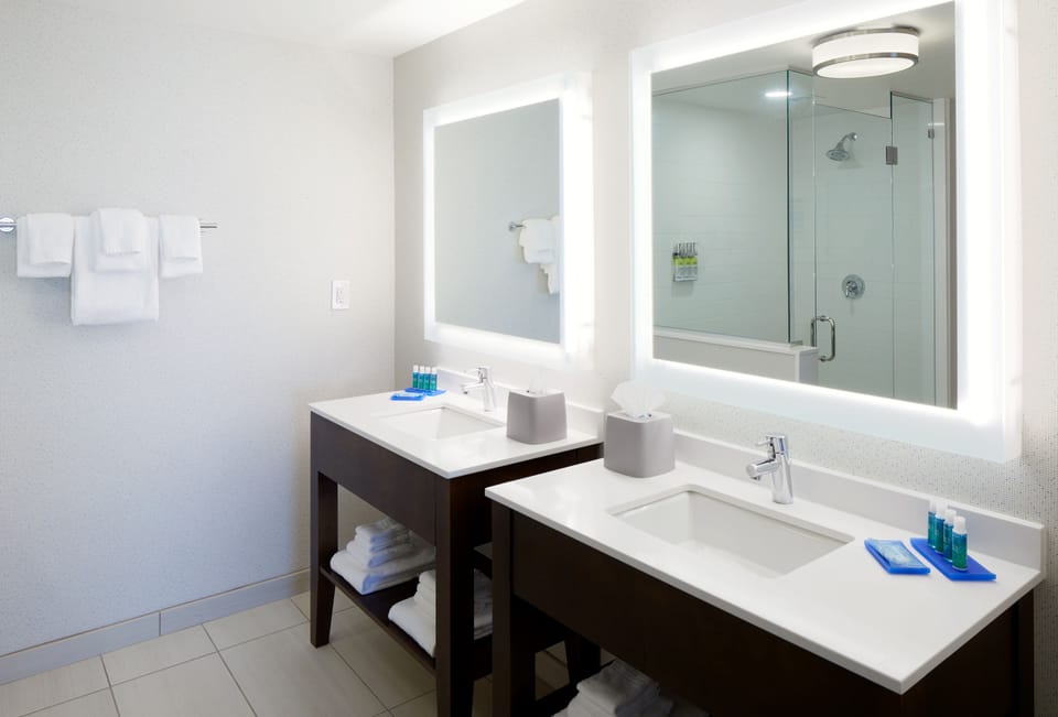 Suite, 1 King Bed with Sofa bed | Bathroom | Free toiletries, hair dryer, towels