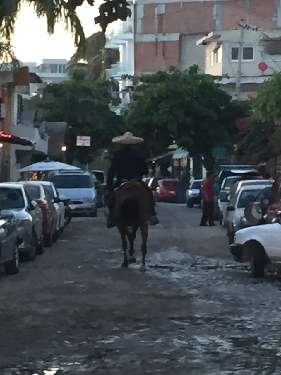 Local Mariachi downtown 
