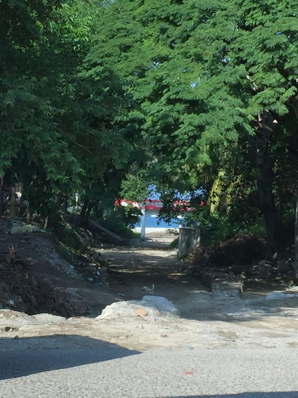 Walkway to Beach. Turn Right to Town Square  2 blocks