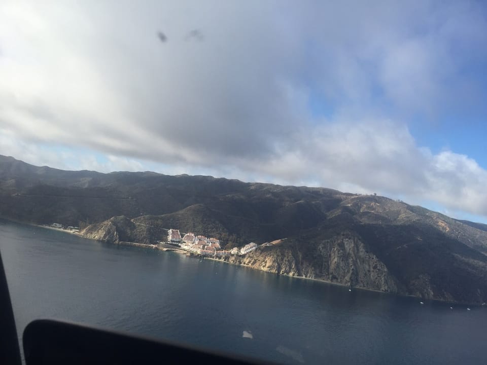 HAMILTON COVE (taken from last guest via UBERhelicopter ride) 