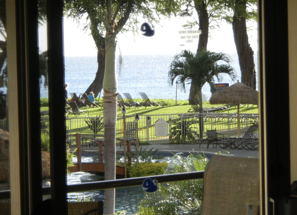 View from condo while preparing food from end counter in kitchen