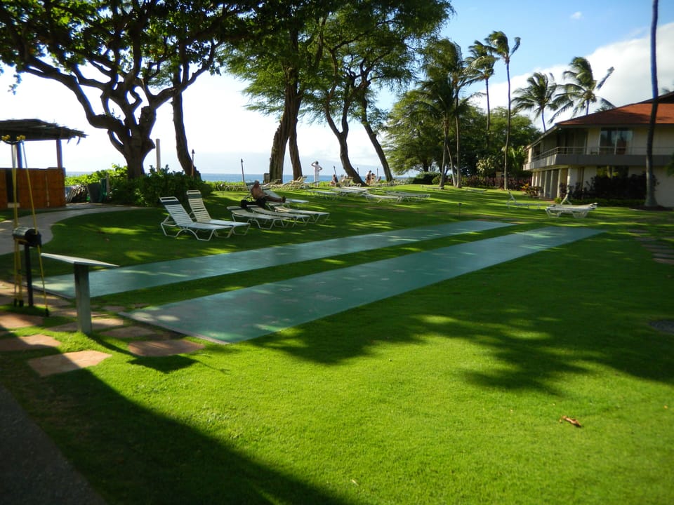 Shuffle board courts