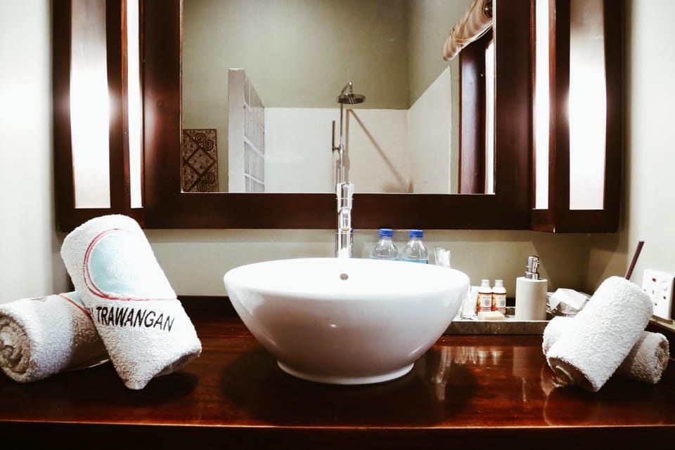 Deluxe Double Room | Bathroom | Shower, free toiletries, hair dryer (on request), bidet
