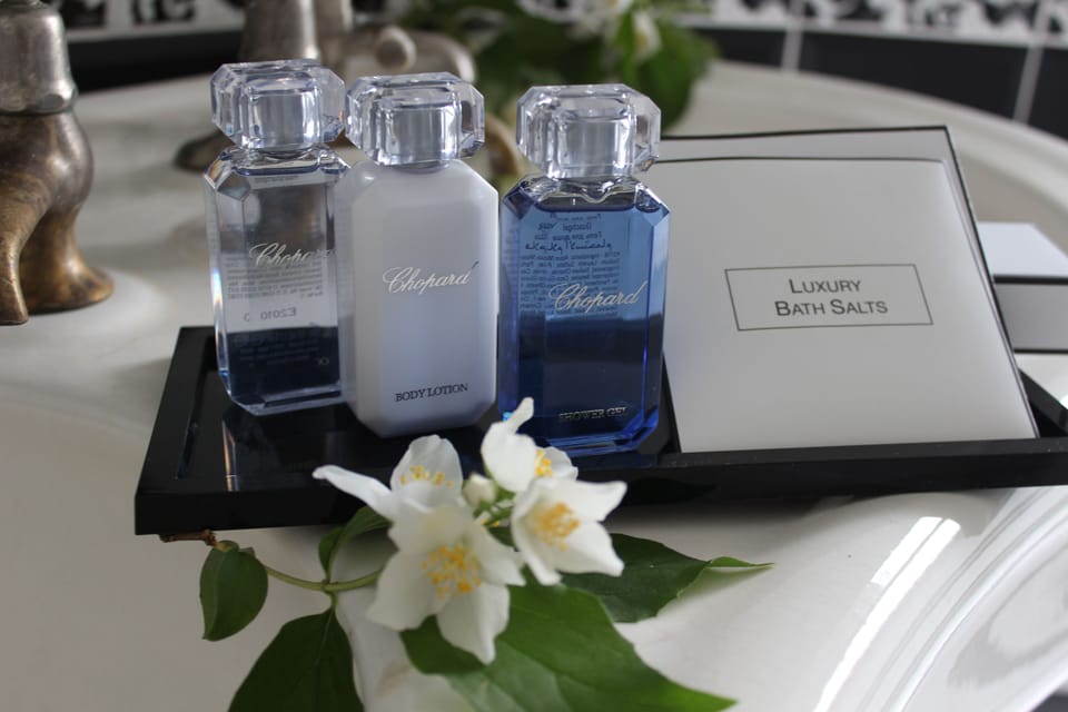 Deluxe Suite | Bathroom | Designer toiletries, hair dryer, towels, shampoo