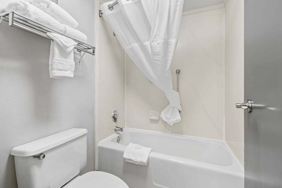 Combined shower/tub, free toiletries, hair dryer, towels