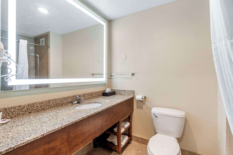 Suite, 1 King Bed with Sofa bed, Non Smoking | Desk, iron/ironing board, rollaway beds, free WiFi