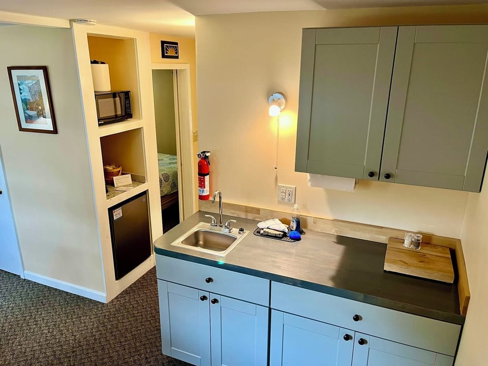 Junior Suite, 1 Bedroom, Kitchenette, River View | Private kitchen | Fridge, microwave, coffee/tea maker