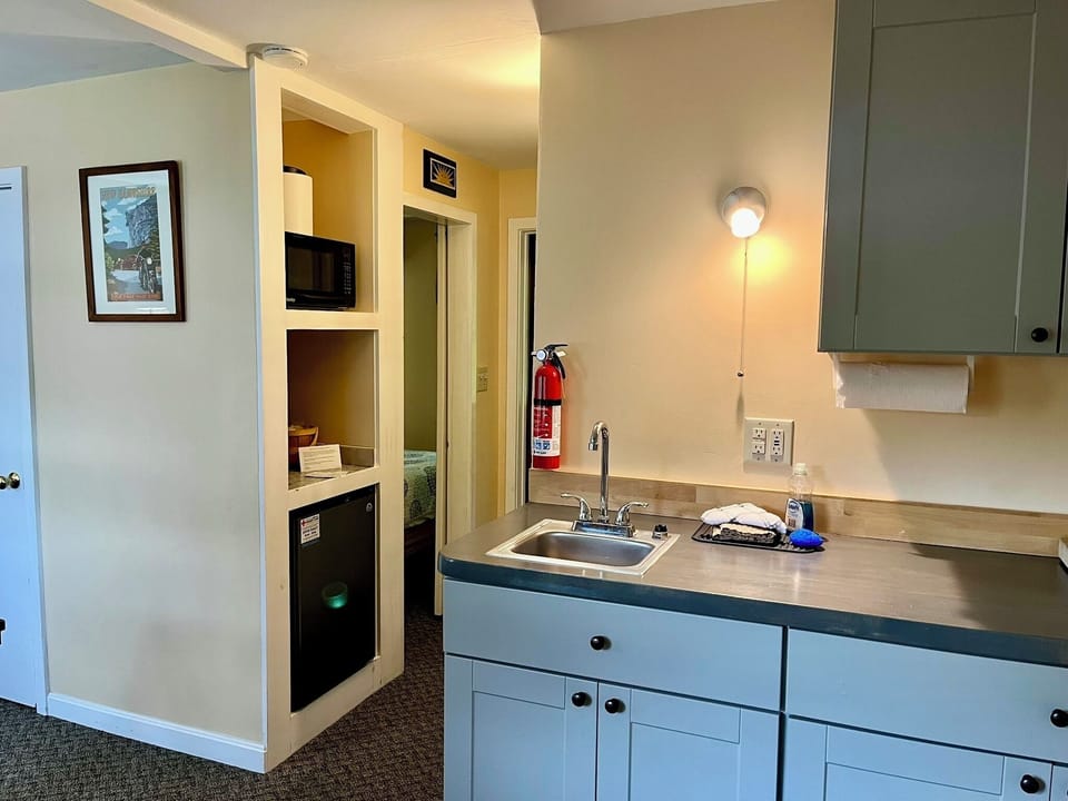 Junior Suite, 1 Bedroom, Kitchenette, River View | Private kitchen | Fridge, microwave, coffee/tea maker