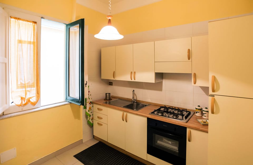 Shared fridge, oven, stovetop, espresso maker