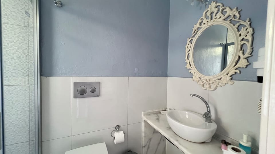 Deluxe Room | Bathroom | Shower, free toiletries, hair dryer, slippers