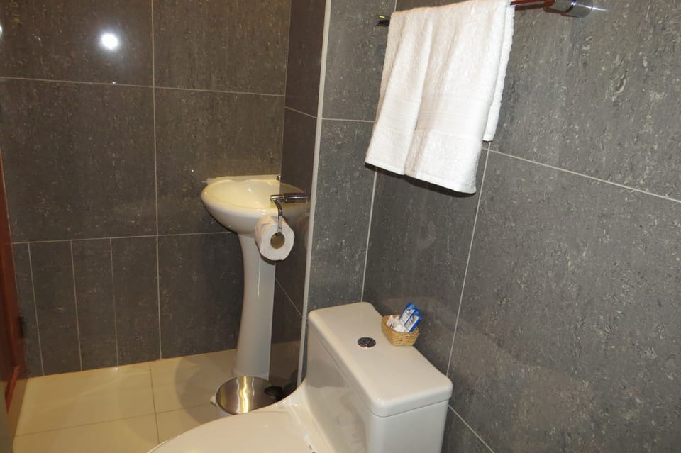 Shower, free toiletries, hair dryer (on request), towels