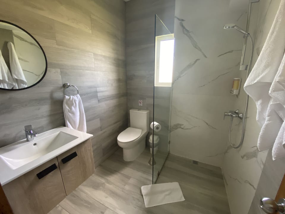 Deluxe Double Room | Bathroom | Shower, free toiletries, towels, soap
