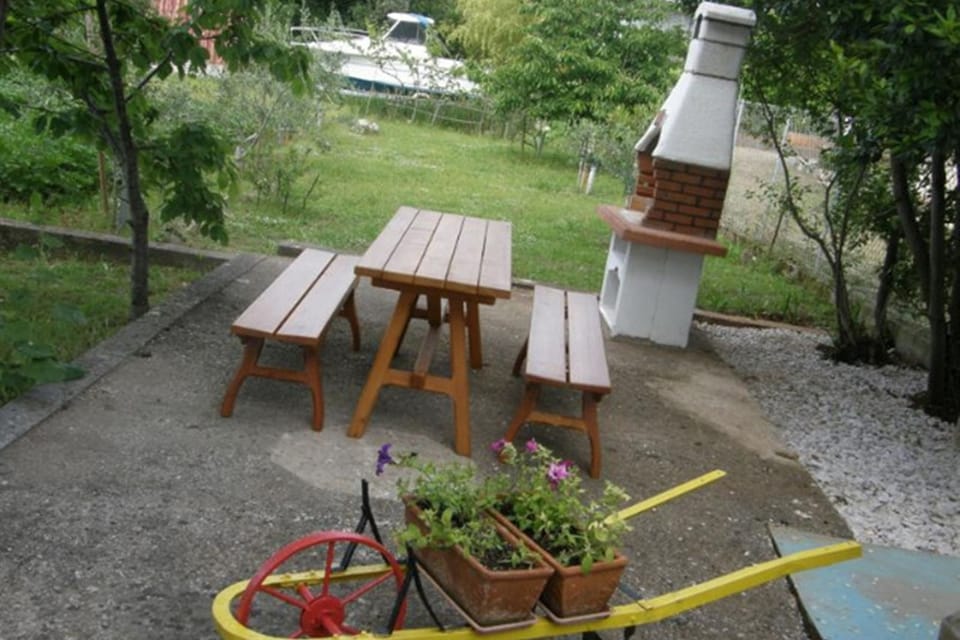 Garden [summer]