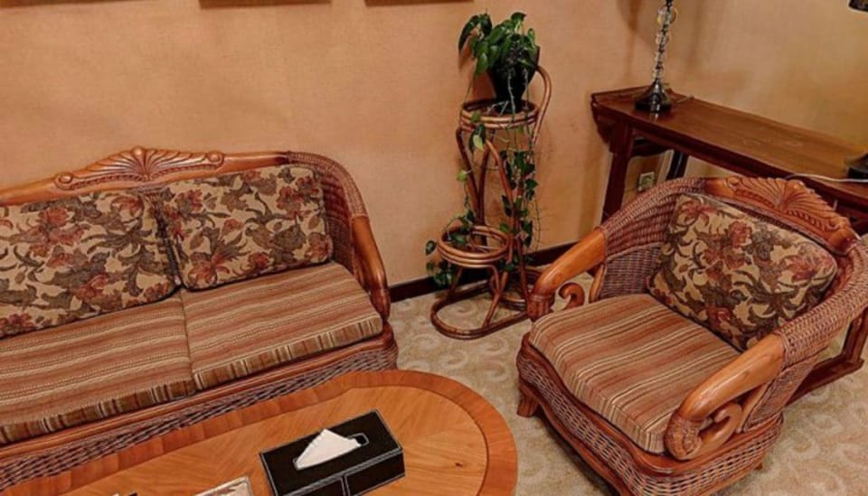 Deluxe Suite | Living area | TV