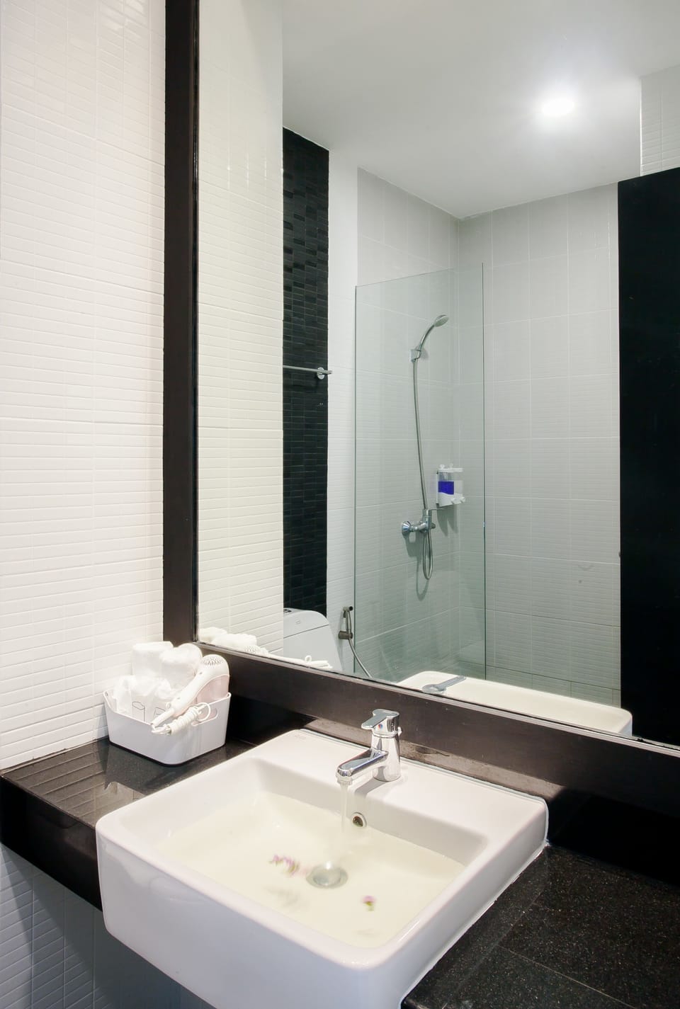 Shower, free toiletries, hair dryer, bidet