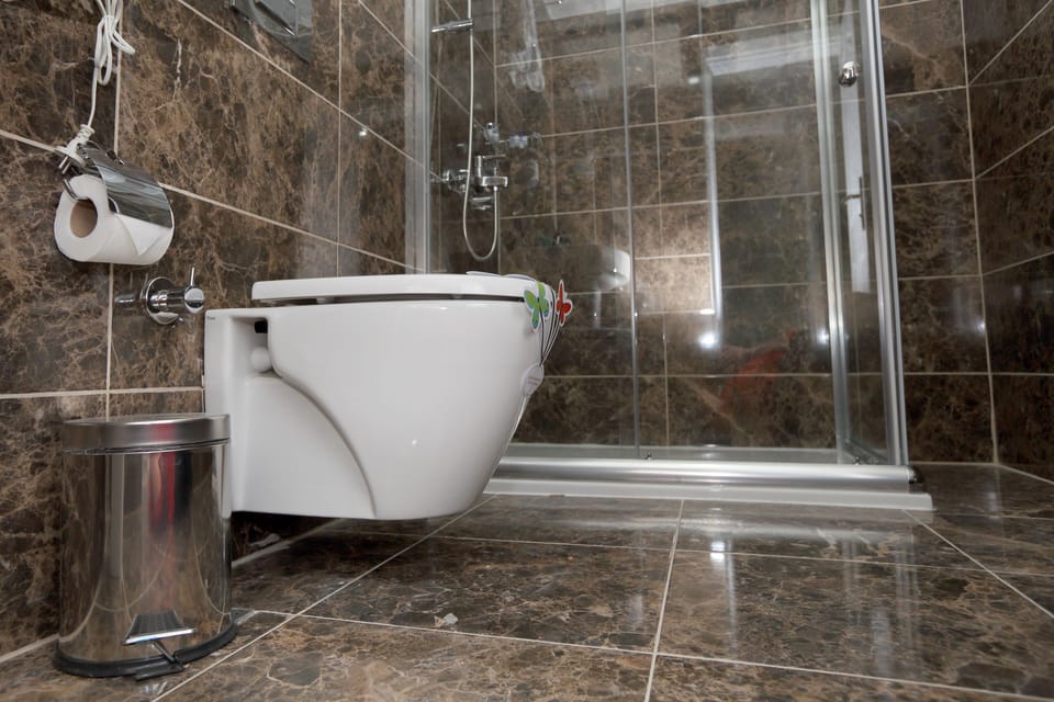 Shower, free toiletries, hair dryer, slippers