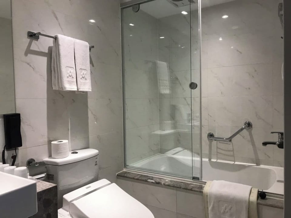 Free toiletries, hair dryer, slippers, bidet