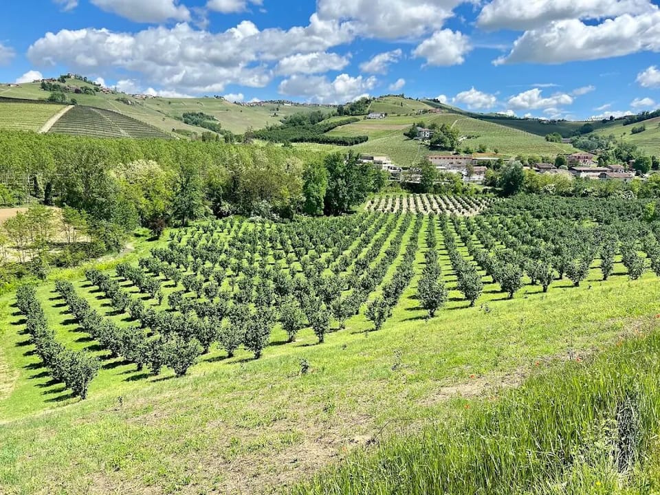 Land view from property