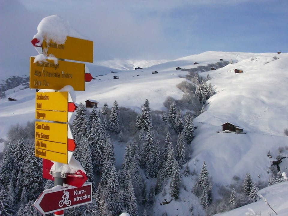 viele Wanderwege