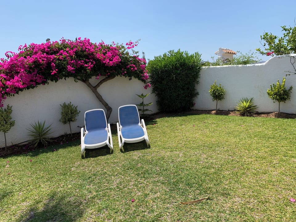 Landscaped garden and sun loungers