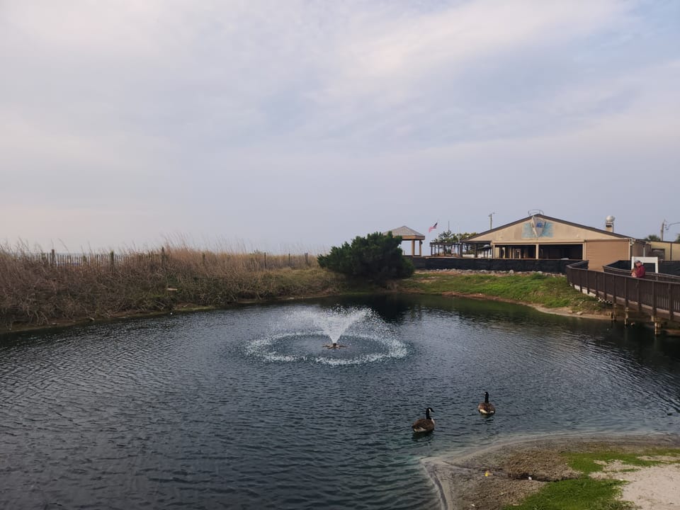 Oceanfront Restaurant and Bar