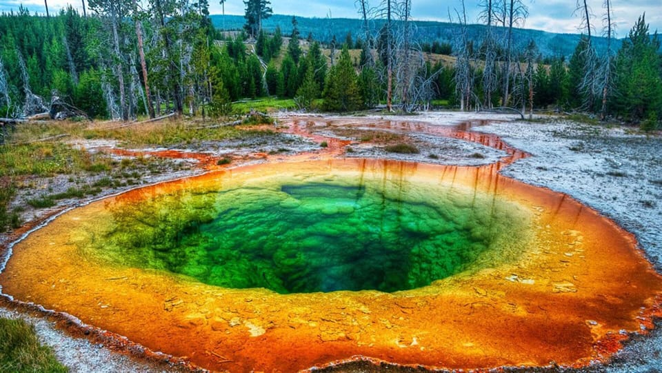 Yellowstone Nat'l Park is just over 1 hr drive