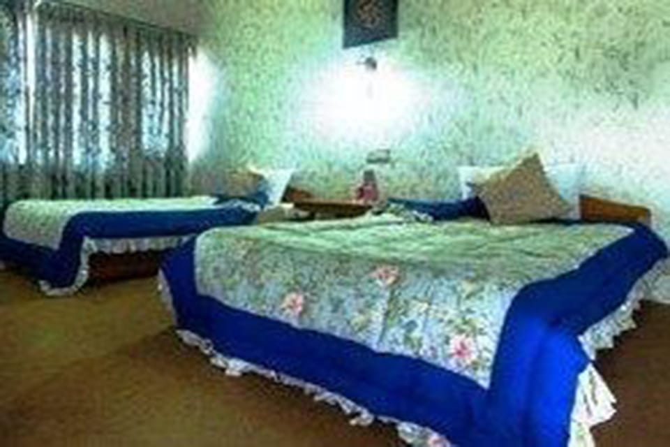 Deluxe Room | In-room safe, desk, free WiFi