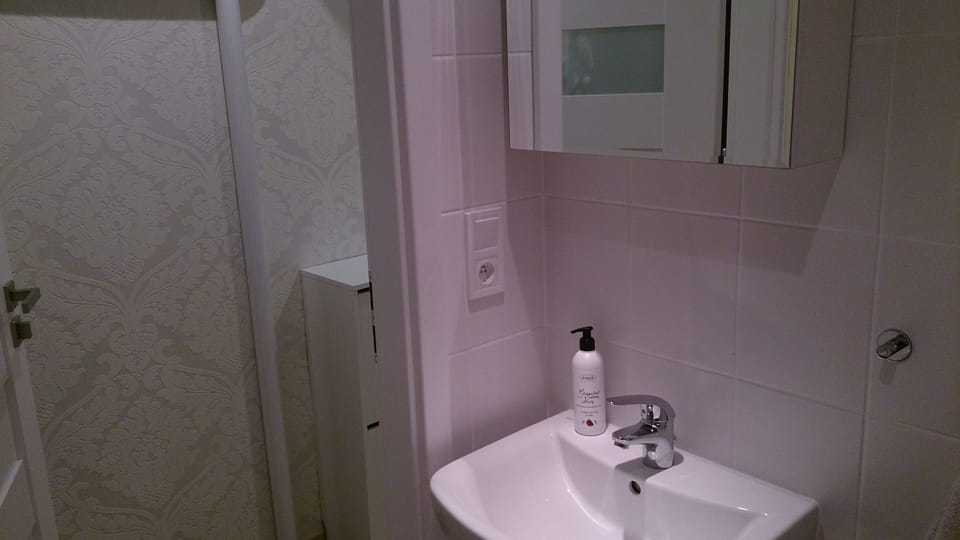 1 bedroom City Center Apartment Apartment in Poland