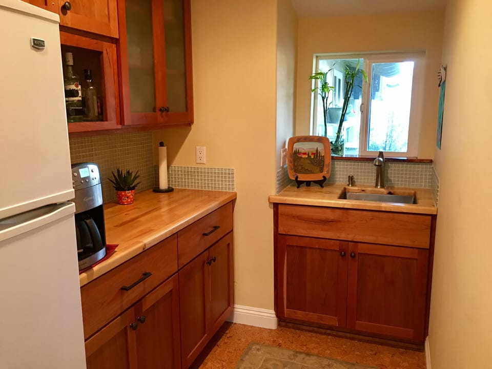 Kitchenette with fridge, coffee maker, microwave, single-burner stovetop.