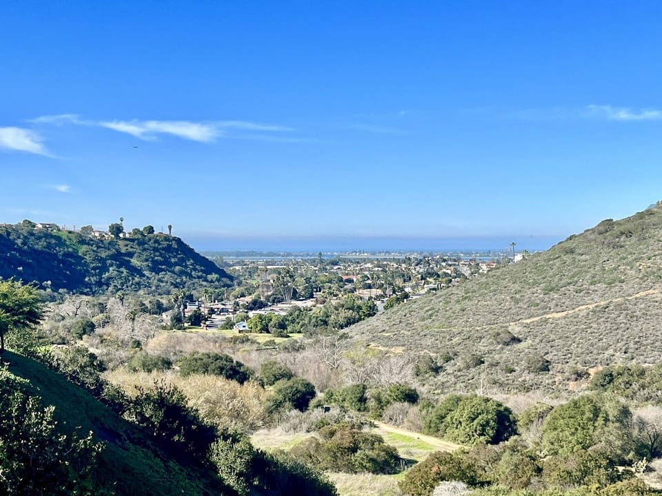 View from top of the hill (at USD) looking down on our neighborhood & P. Ocean.