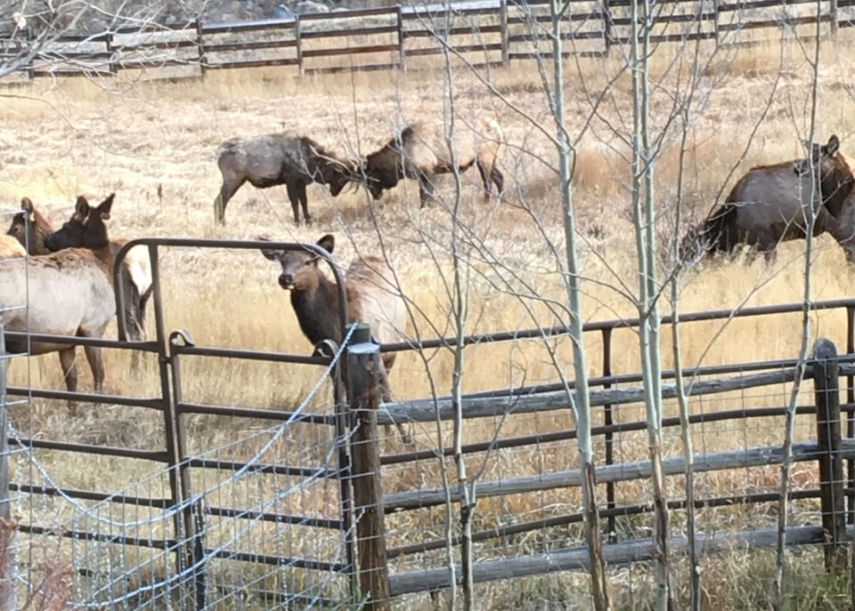 Just outside the cabin