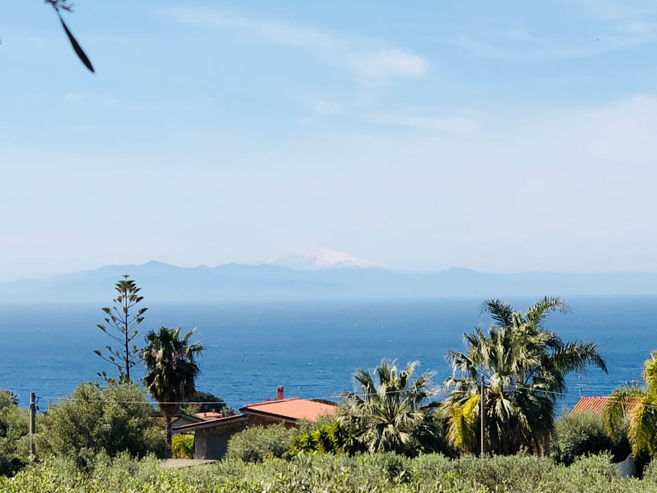The view from the garden