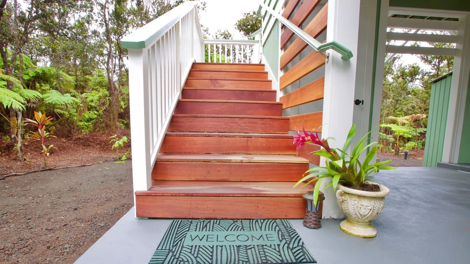 Welcome to the tree cottage. A fun, romantic stay awaits you.
