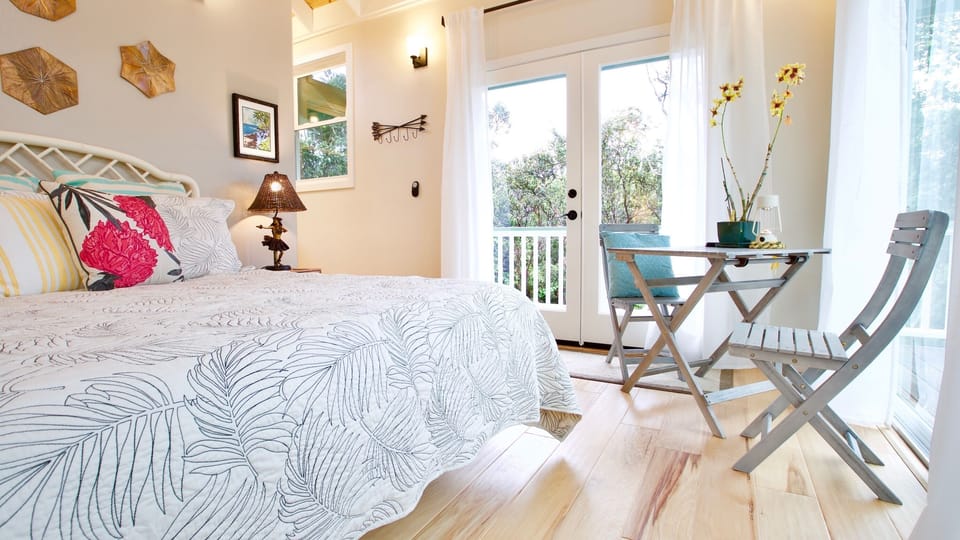 In living/bedroom looking at french door entrance.