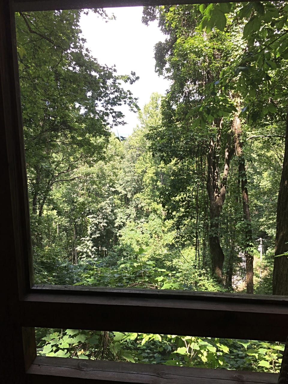 view from the screened porch (lake blueridge in the far distance)