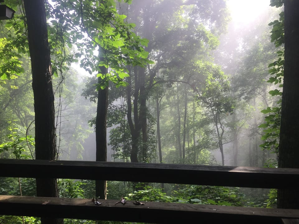 morning mist-view from the deck