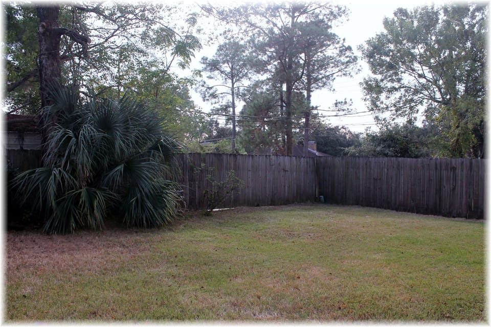 Back Yard
