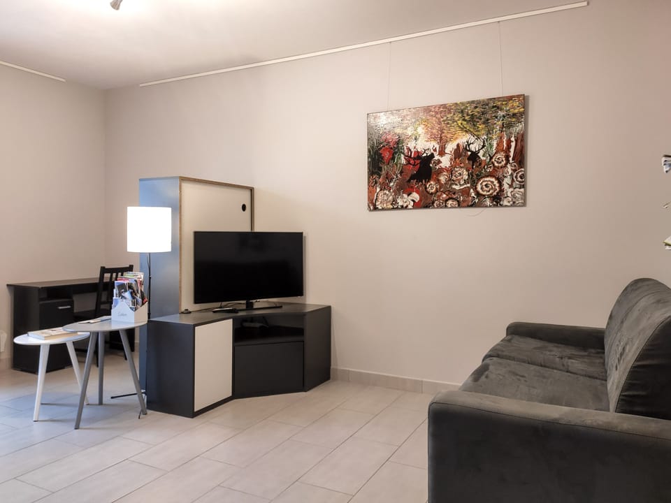 Flat-screen TV