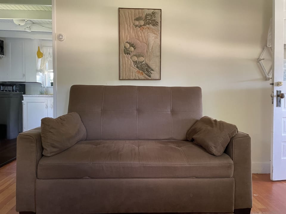 Living room fold out.