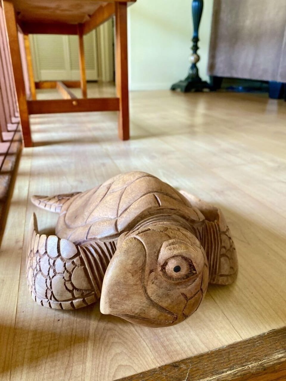 Toby the turtle here to welcome you.