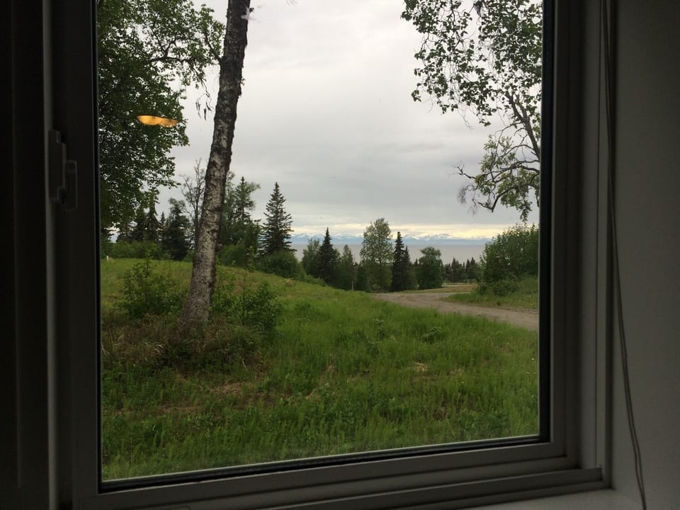 View from the kitchen window