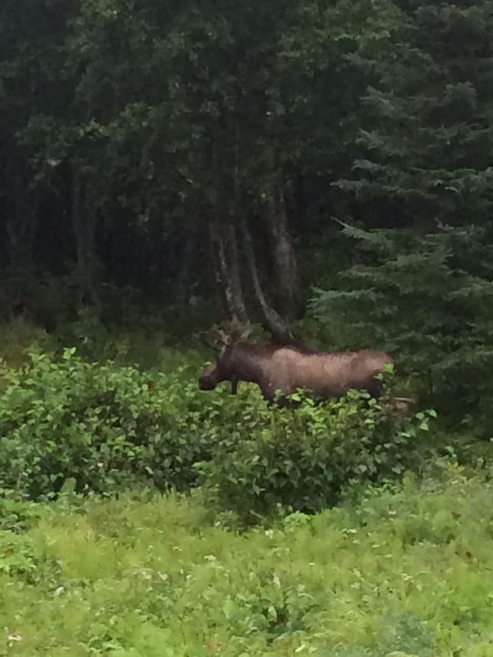A visitor walking by...