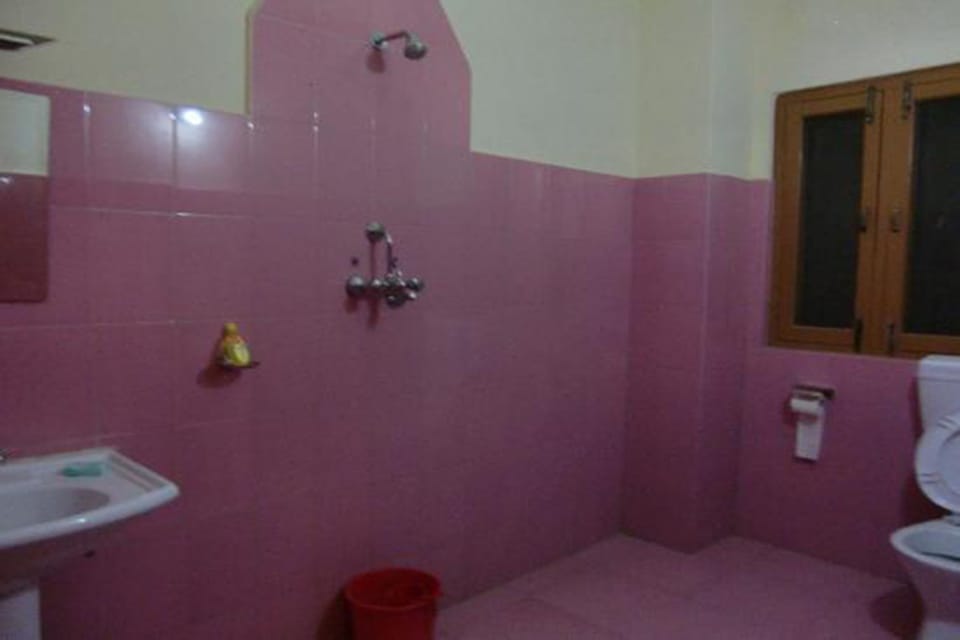 Deluxe Room | Bathroom | Shower, free toiletries, towels