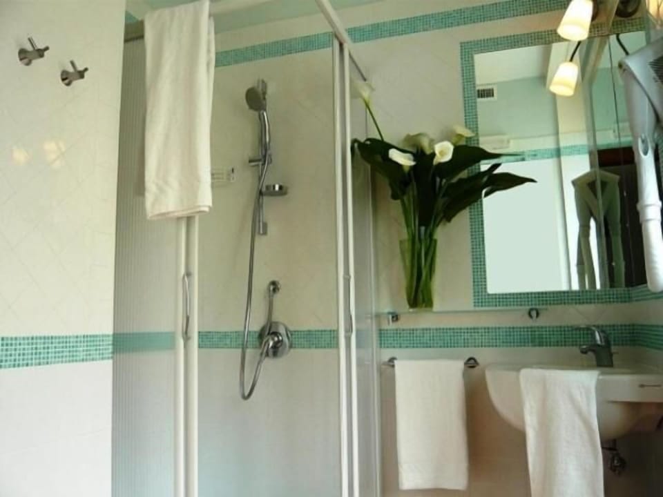 Standard Double Room Single Use | Bathroom | Shower, free toiletries, hair dryer, towels