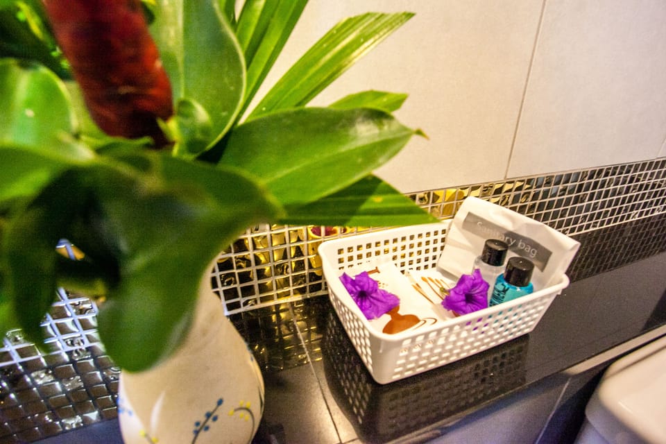 Shower, free toiletries, hair dryer, bidet