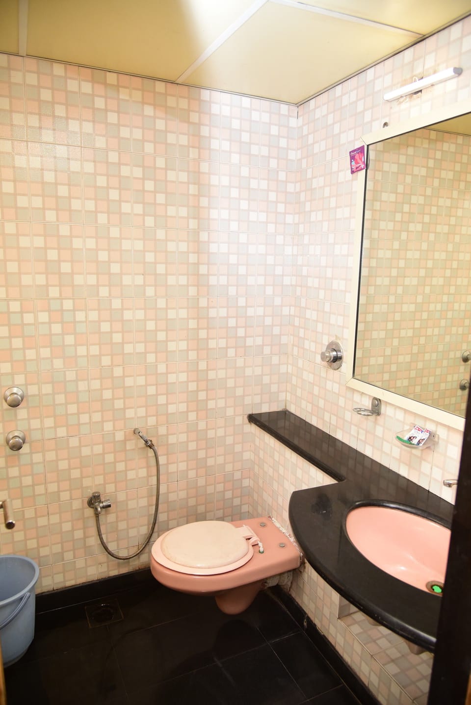 Shower, free toiletries, bidet, towels