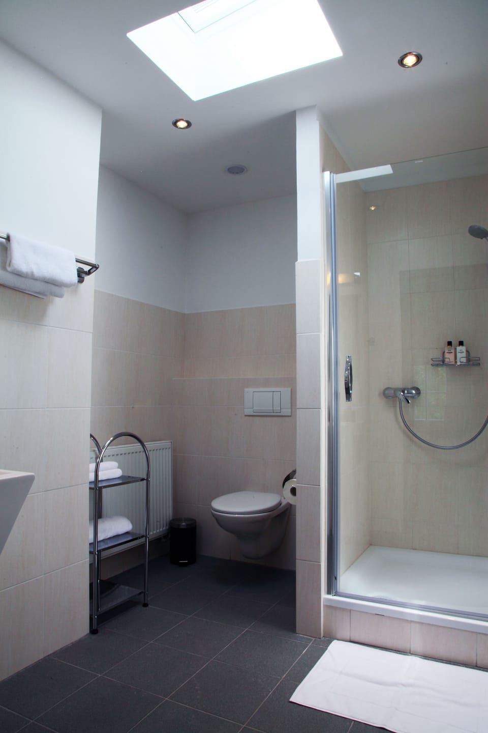 Shower, free toiletries, hair dryer, bathrobes